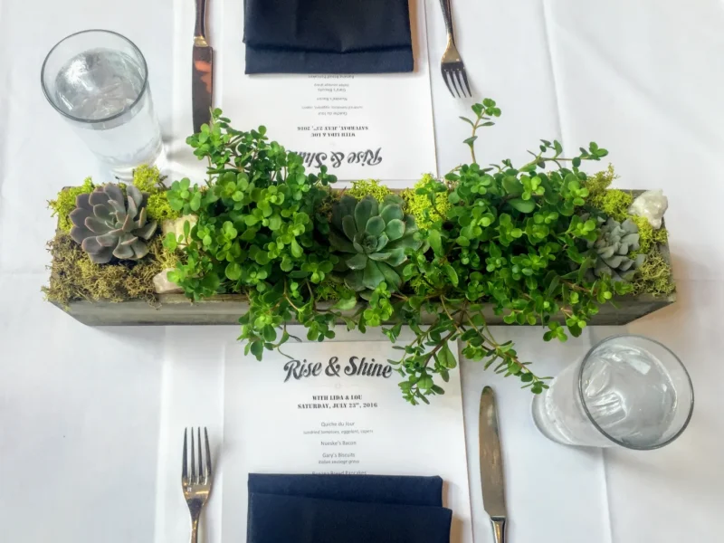 cd738954-08ee-4264-9257-af73ee19aad0